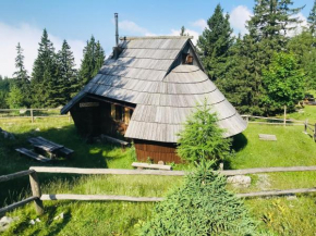 Chalet Gasparjeva Velika Planina